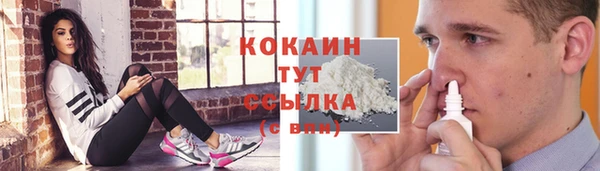 гашик Алексин