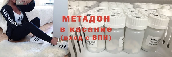 гашик Алексин