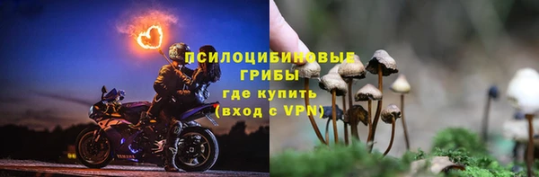 гашик Алексин