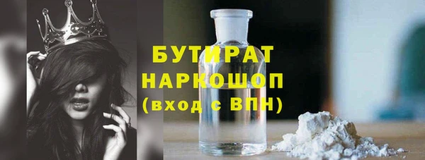 гашик Алексин