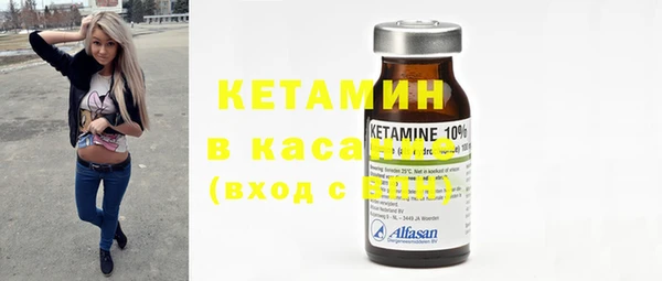 гашик Алексин