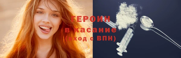 гашик Алексин