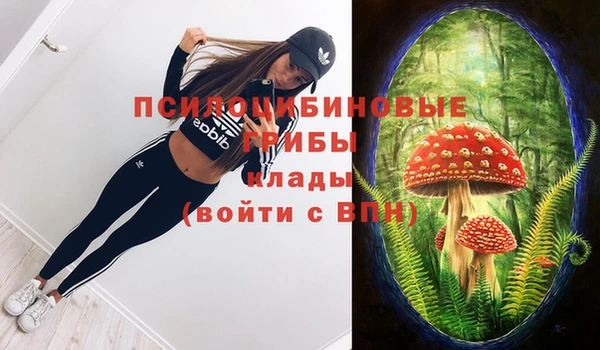 ALPHA PVP Алексеевка