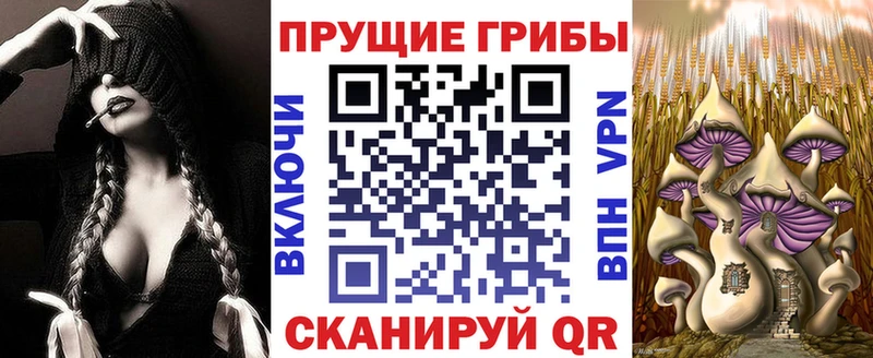 купить   Зверево  Галлюциногенные грибы GOLDEN TEACHER 